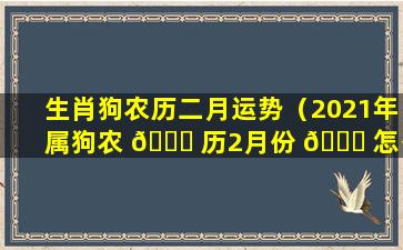 生肖狗农历二月运势（2021年属狗农 🐘 历2月份 🕊 怎么样）